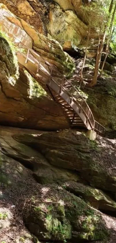 Wooden staircase on scenic forest path with rocky surroundings.