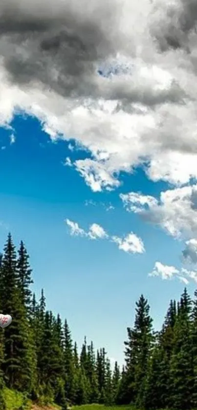 Green forest under a dramatic cloudy sky with a touch of blue.