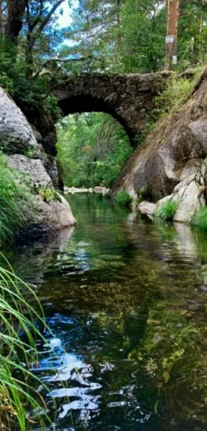 Scenic view of stone bridge over a forest river.