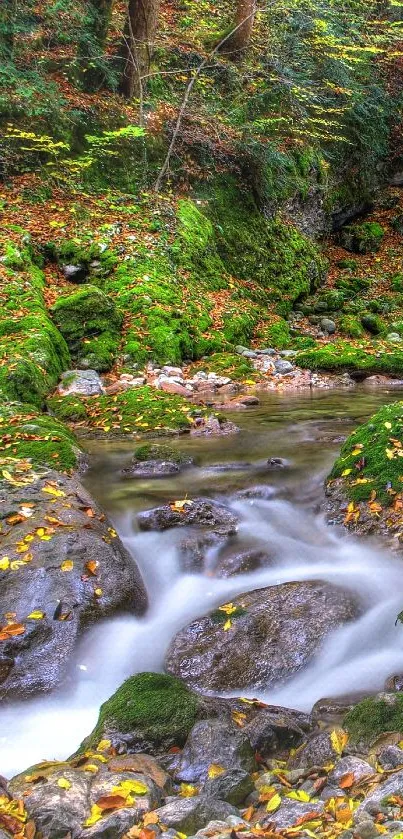 Tranquil forest stream with vibrant autumn colors, lush moss, and flowing water.