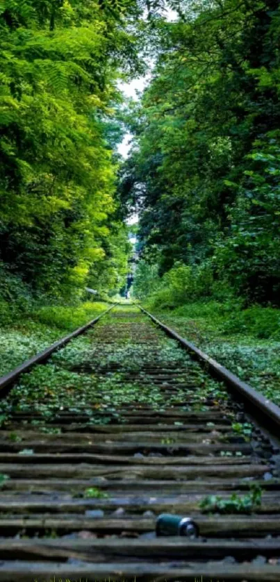 A serene path of train tracks through a lush green forest.