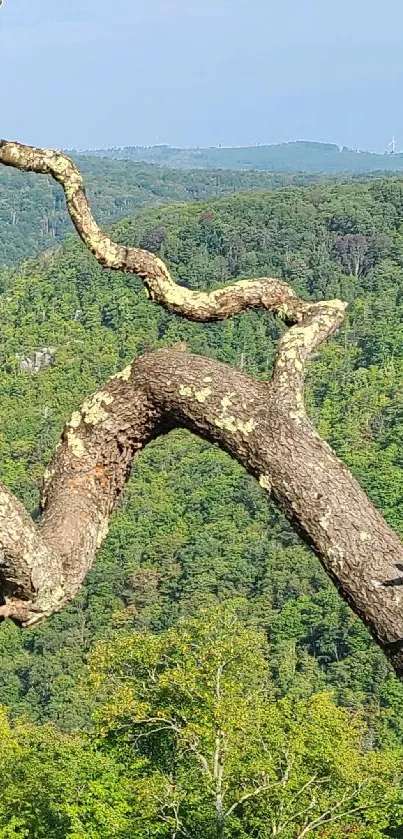 Wallpapers shows a curved tree extending over green mountains.