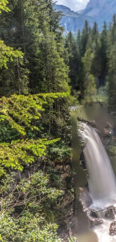 Scenic view of a waterfall in a green forest with sunlight.