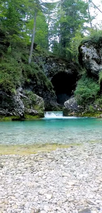 Serene forest waterfall with clear water and lush greenery.