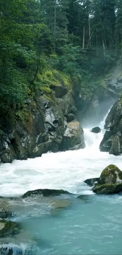 Lush green forest with a flowing waterfall and serene river.