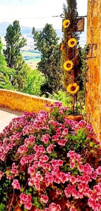 Blooming garden path with sunlit stone wall and lush landscape.