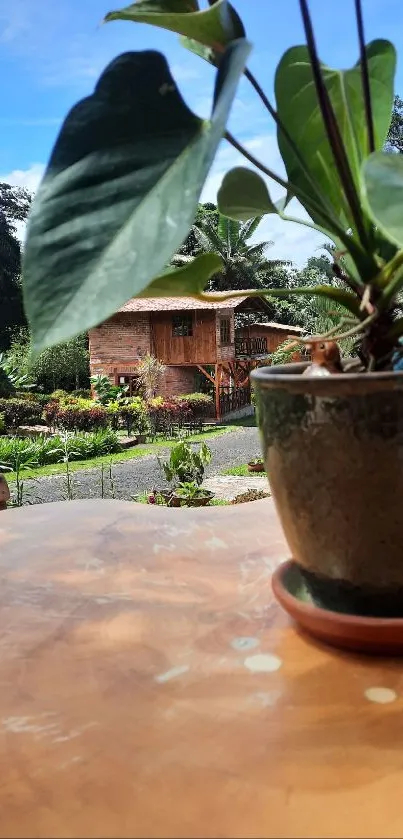 Potted plant on wooden table with garden view.