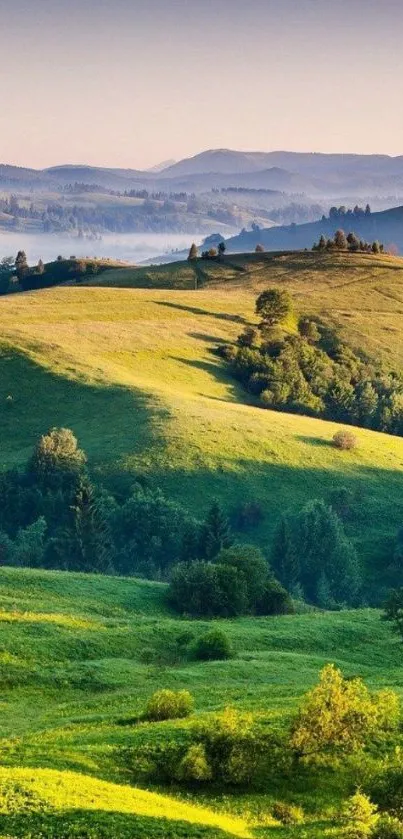 Scenic wallpaper of rolling green hills under a tranquil sky.