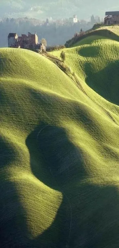 Rolling green hills under a clear sky.