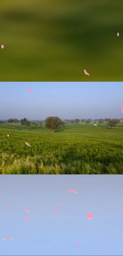 A serene green landscape with pink petals floating in the air.