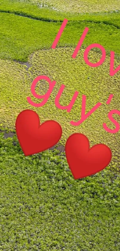 Aerial view of green landscape with 'I love you' message and heart emojis.