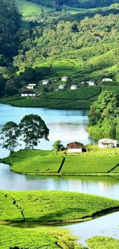 A serene green landscape with a tranquil lake and cottages.