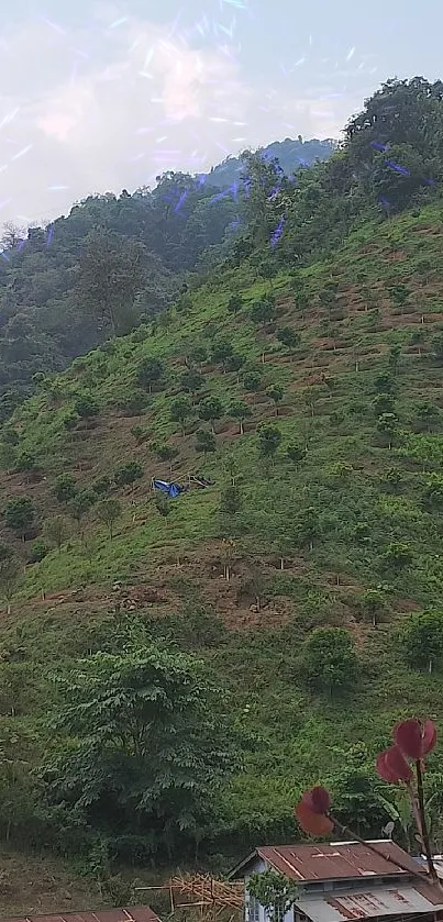 Scenic view of lush green hills and serene landscape.