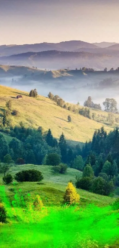 Scenic view of green hills at sunset as mobile wallpaper.