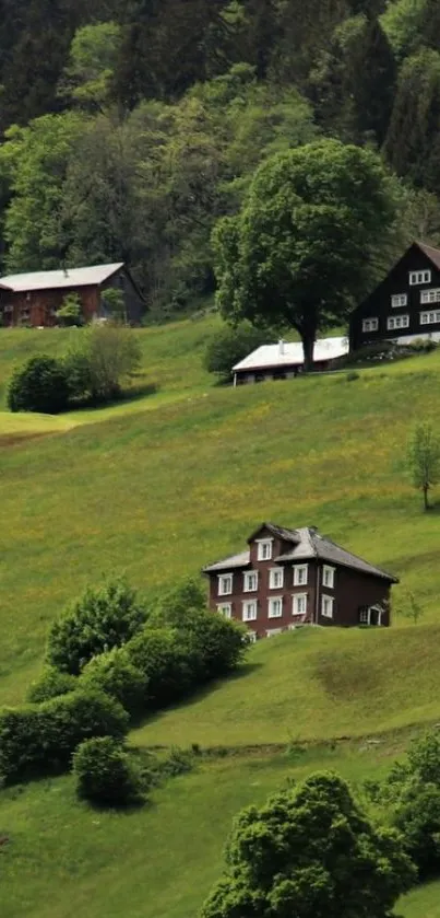 Charming hillside houses with lush greenery.