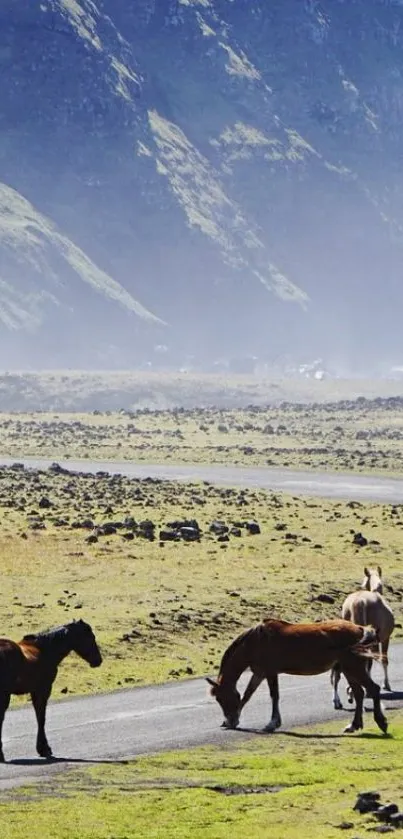 Horses grazing on a meadow with mountains in the background.