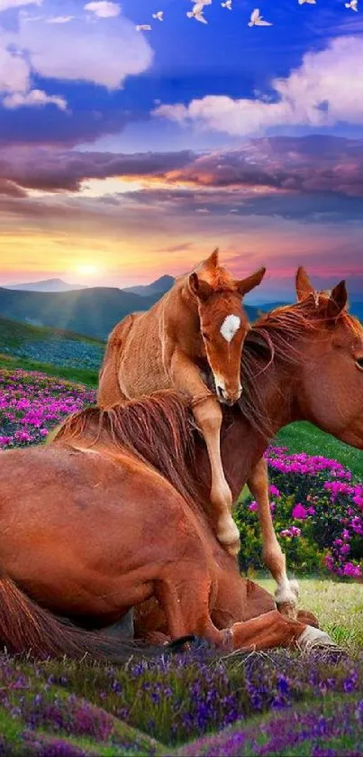 Horse and foal in a colorful sunset pasture with vibrant wildflowers.