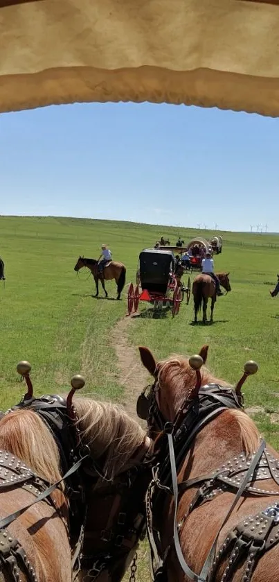 View from a horse-drawn carriage under a sunny blue sky.