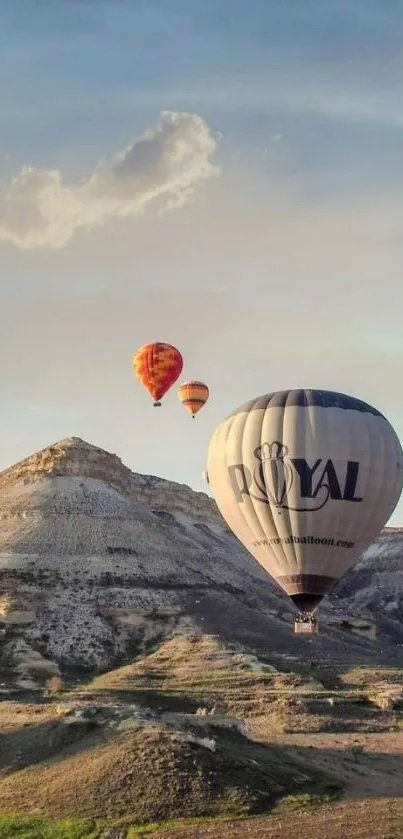 Hot air balloons float over scenic landscapes at sunset.