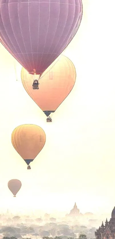 Vibrant hot air balloons over a scenic landscape.