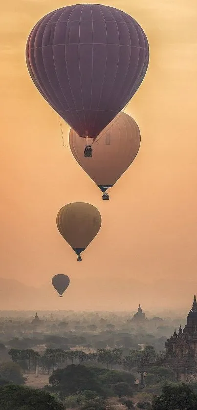 Hot air balloons drift across a scenic sunset.