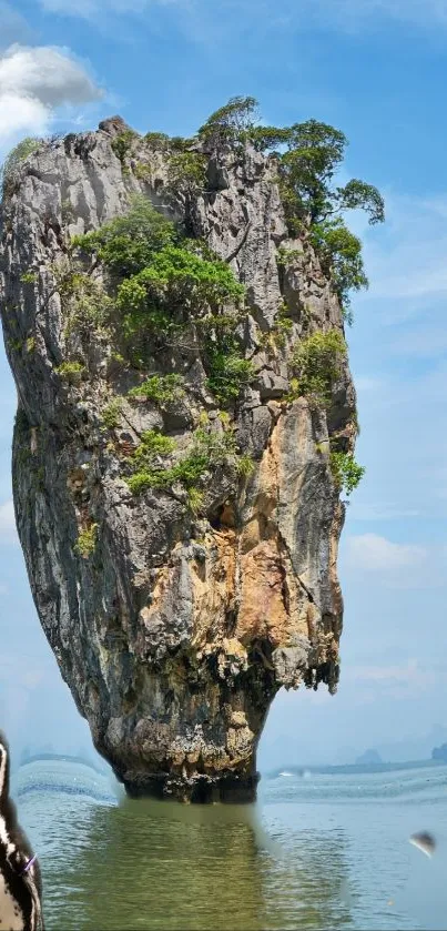 Scenic island rock with penguin and blue sky.