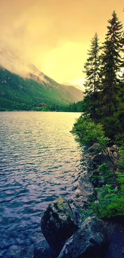 A serene forest path beside a mountain lake during sunset perfect for mobile wallpaper.