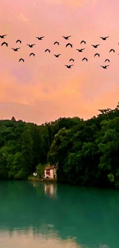 Tranquil lake sunset with birds and lush trees.