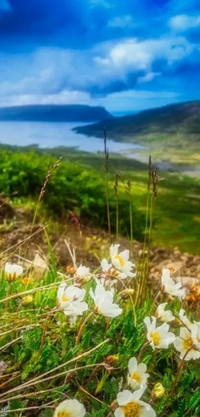 Scenic nature wallpaper with flowers and blue sky.