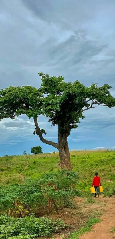 Lone tree under a vast sky in lush green landscape.