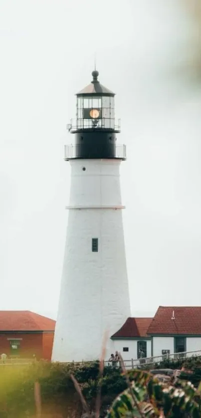 A scenic lighthouse standing by the ocean with red-roofed buildings and greenery.