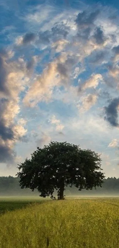 Peaceful mobile wallpaper with a lone tree under a vibrant sky.