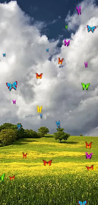 Lush green meadow under a cloudy blue sky.