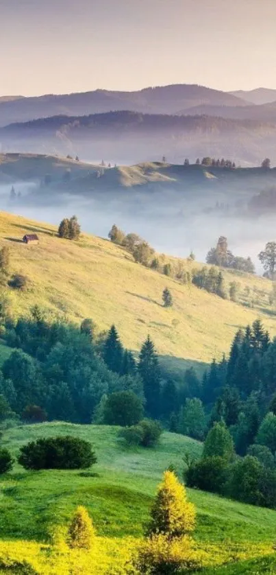 Serene mobile wallpaper of misty hills under a soft morning sky.