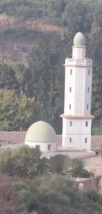 Mosque surrounded by lush green landscape.