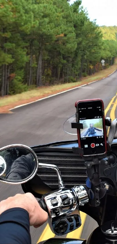 Motorcycle ride through a scenic forest road, perfect for mobile wallpaper.