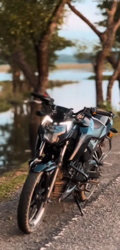 Motorcycle parked by the scenic countryside road with trees.