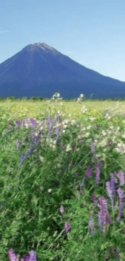 Beautiful mountain with lush green field and purple flowers, perfect for mobile wallpaper.