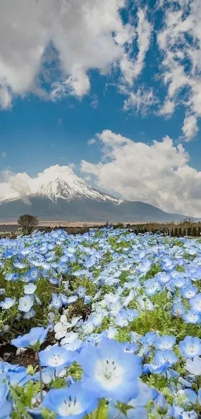 Mountain view with blue flowers and clear sky.