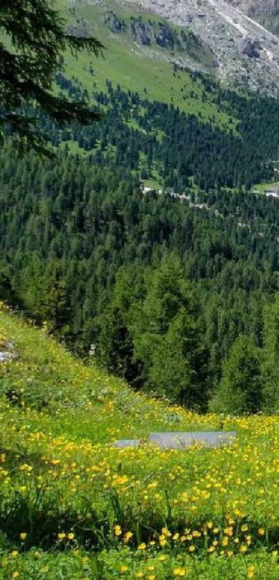 Lush green mountain meadow with wildflowers.