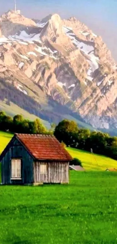 Rustic cabin in a green field with mountain backdrop.