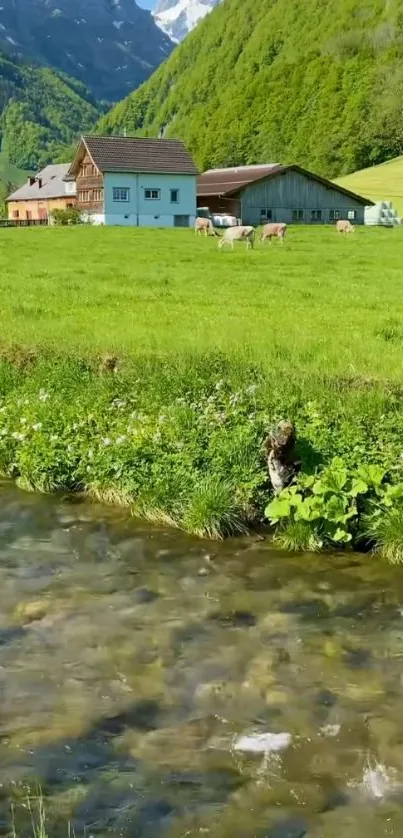 Tranquil mountain farm with stream and greenery.