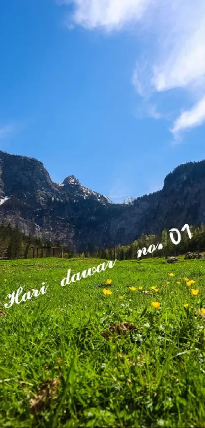 Scenic view of green field with mountains under a blue sky.