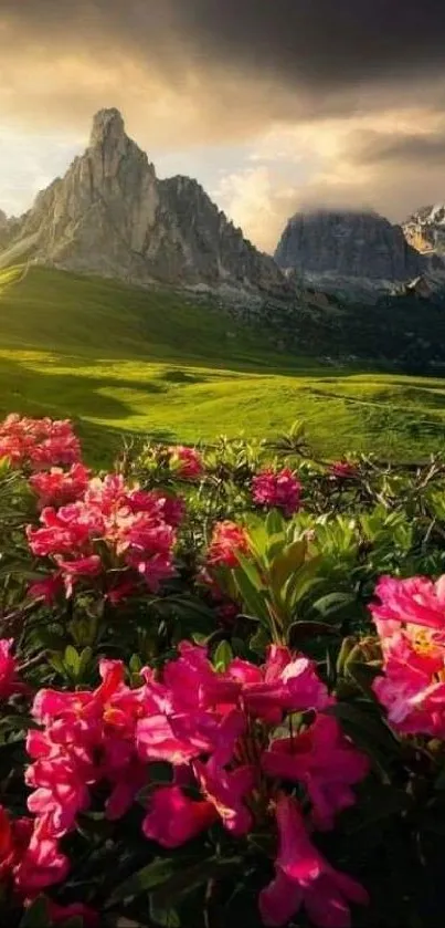 Pink flowers with mountains and a dramatic sky in a serene landscape.