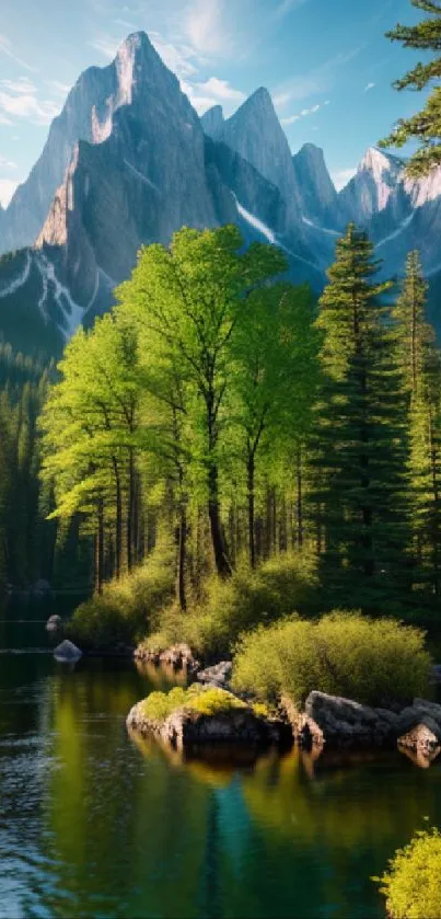 Lush mountain forest with river reflection and blue sky.