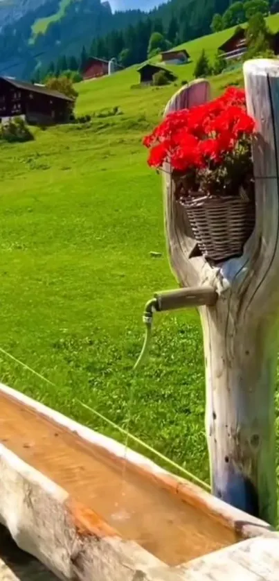 Rustic fountain with red flowers on a green hillside.