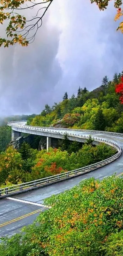 Curving mountain road through lush autumn forest.