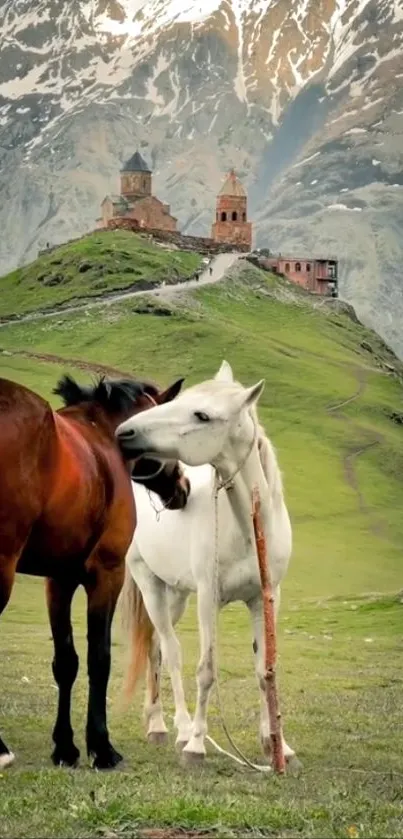 Two horses grazing with mountain chapel background.