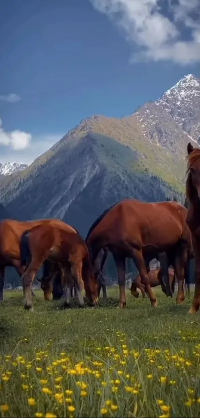 Beautiful horses grazing in a mountain meadow.