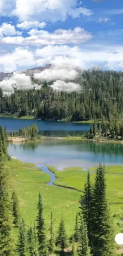 A serene view of a mountain lake surrounded by lush greenery on a clear day.